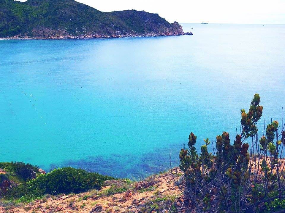 Bãi Biển Bãi Nồm Phú Yên ORG VN (1)