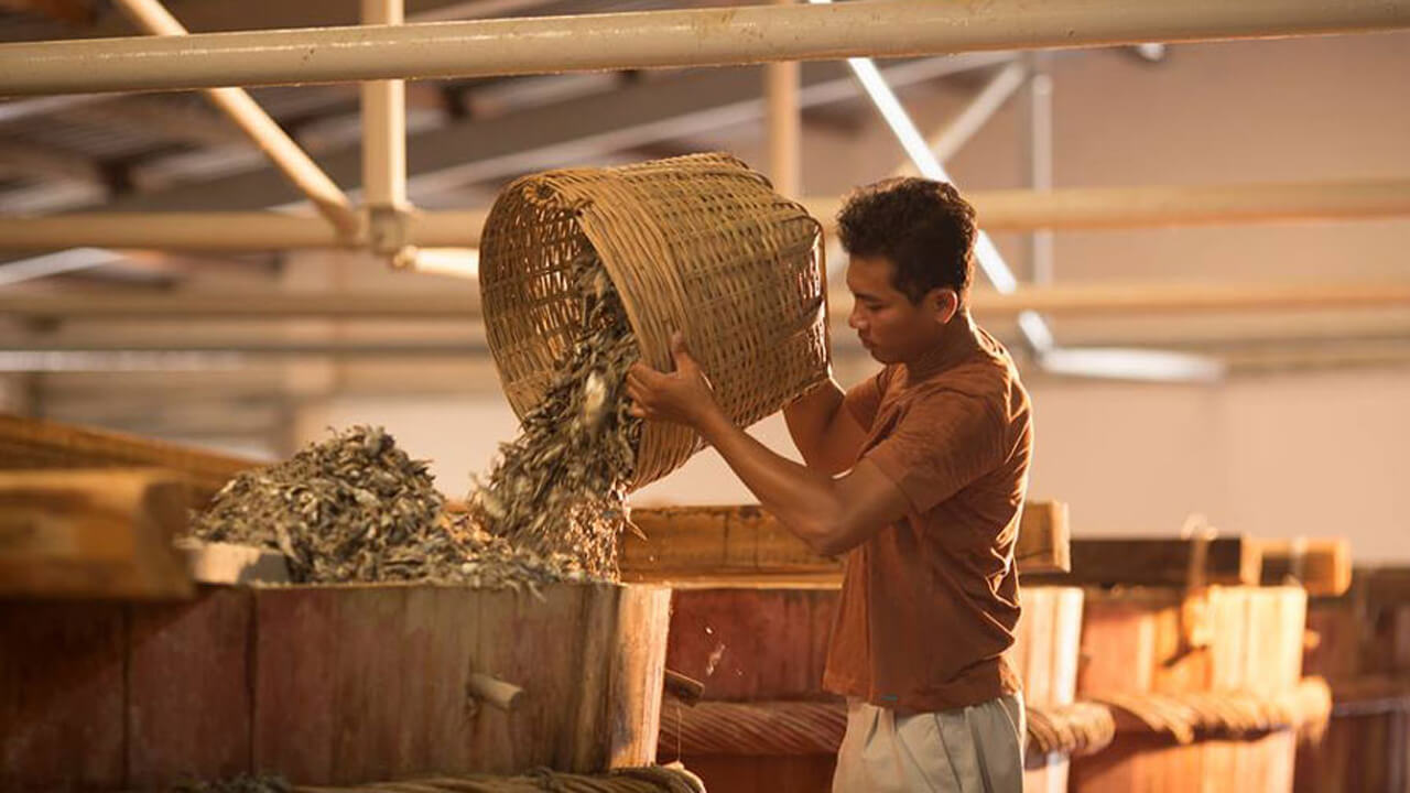 Hương Vị Đặc Trưng và Giá Trị Văn Hóa Của Nước Mắm Gành Đỏ