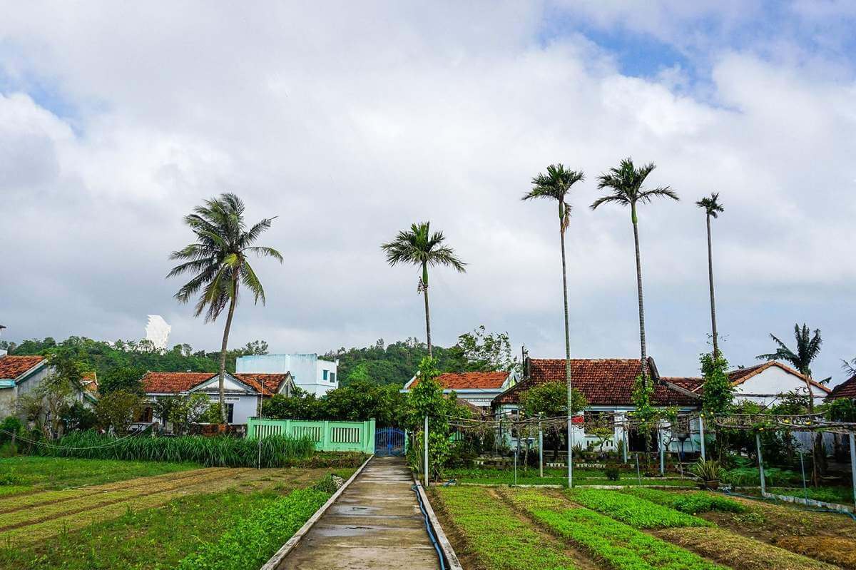 Du Lịch Sinh Thái Tại Làng rau Ngọc Lãng: Gần Gũi Với Thiên Nhiên