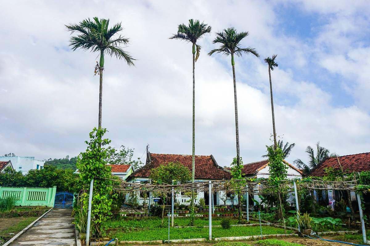 Đặc sản làng rau Ngọc Lãng: Hương Vị Quê Nhà