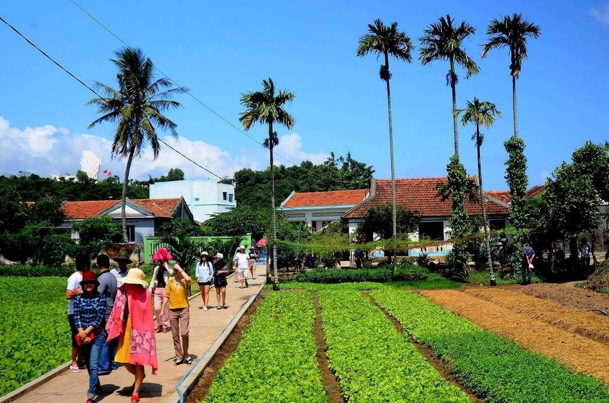 Trải Nghiệm Nông Nghiệp Tại Làng rau Ngọc Lãng