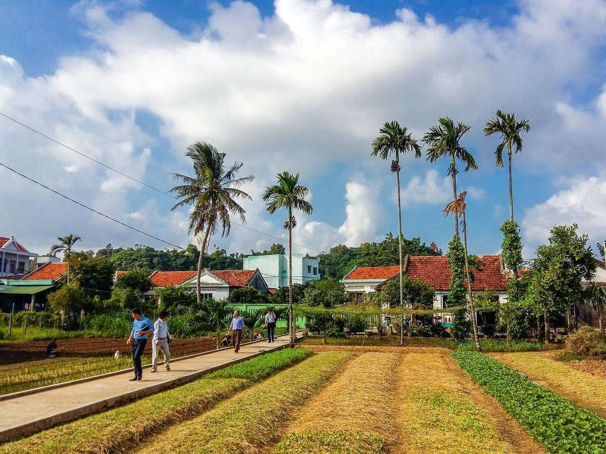 Rau sạch Ngọc Lãng: Bí Quyết Trồng Rau Truyền Thống