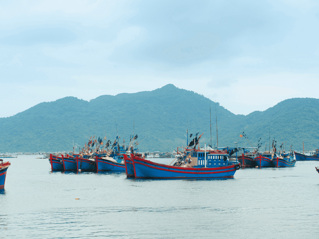 Vịnh Vũng Rô: Nơi Biển Xanh Thầm Thì Kể Chuyện Lịch Sử Hào Hùng